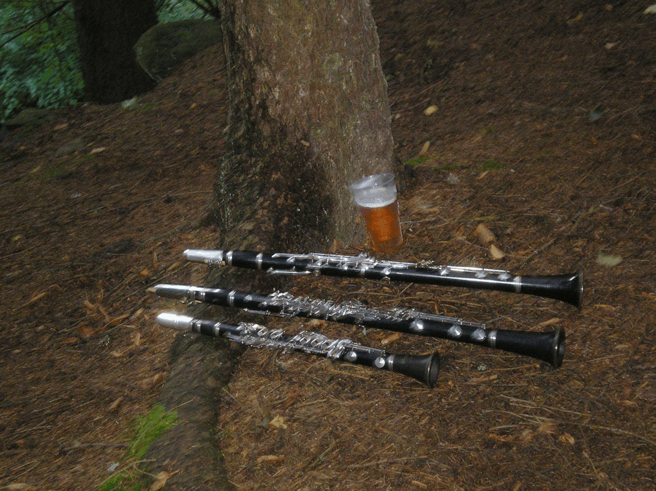 Zátiší klarinety